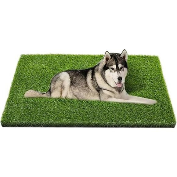 Artificial Grass, Professional Dog Grass Mat, Potty Training Rug and Replacement - Picture 8 of 8